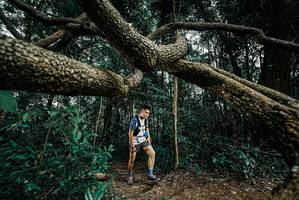 BIB: 
                            <button type="button" onclick="openModal(25705844)" class="btn btn-primary btn-sm float-right btn-popup" data-toggle="modal" data-target=".modal-high-quality">
                        <i class="fas fa-shopping-cart"></i> Add to Cart
                    </button>
                                            <button type="button" onclick="isThisMe(25705844, true)" class="btn btn-success btn-sm float-right btn-popup btn-isme hidden" data-toggle="tooltip" data-placement="bottom" title="นี่คือรูปของคุณใช่ไหม คลิกที่นี่เพื่อเอาเข้าอัลบั้ม">
                        <i class="fas fa-plus"></i> Add to album
                    </button>
                    <button type="button" onclick="isThisMe(25705844, false)" class="btn btn-warning btn-sm float-right btn-popup btn-isnotme hidden">
                        <i class="fas fa-ban"></i> Remove from album
                    </button>